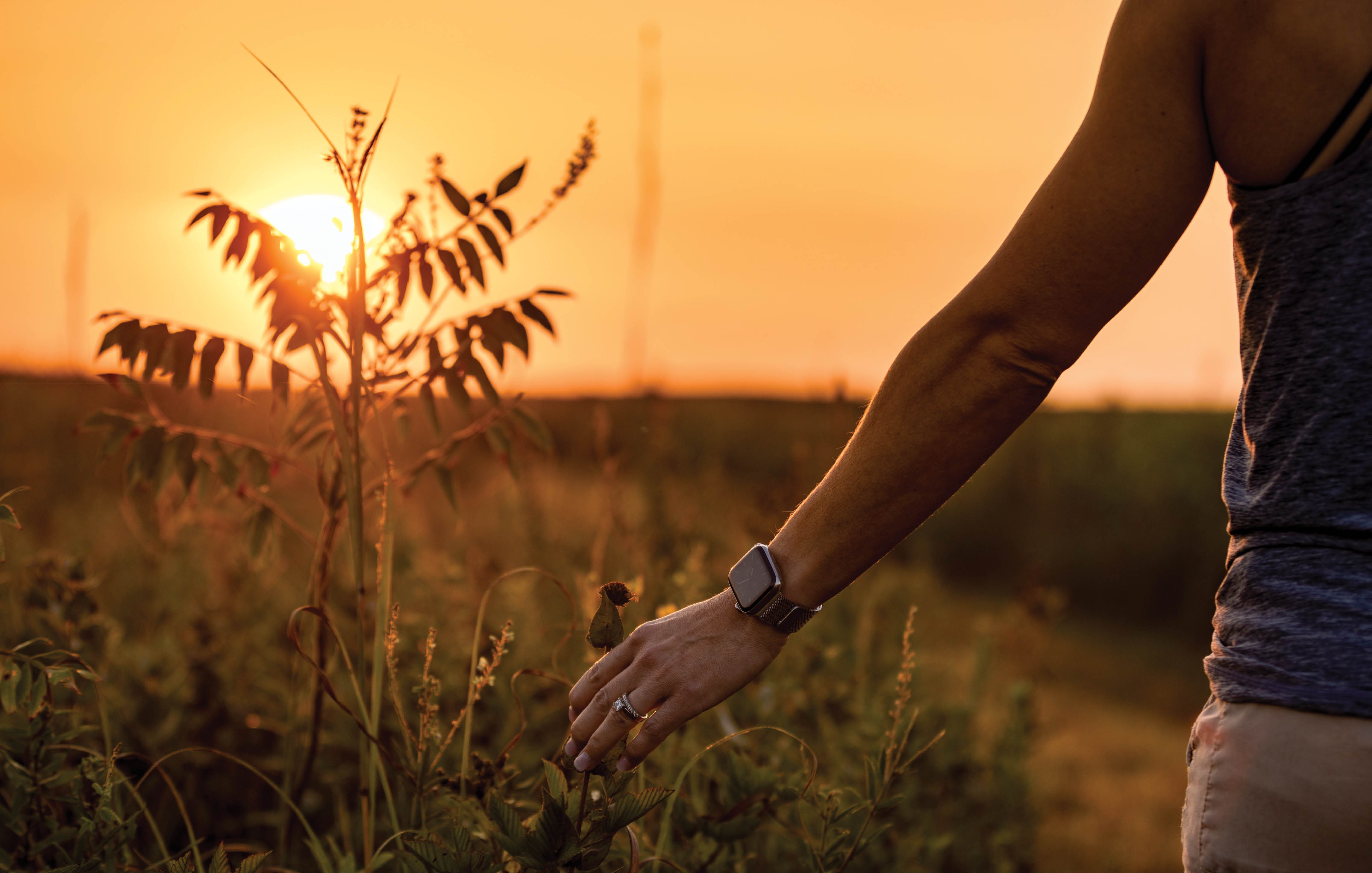 Prairie at sunset in the Ozarks