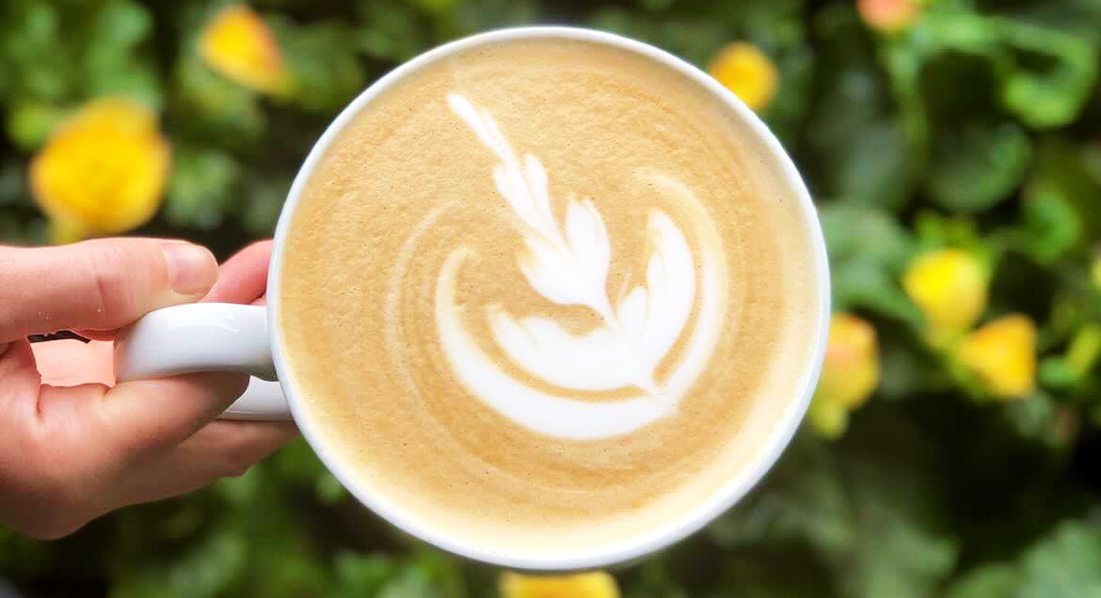 Joplin Greenhouse Coffee Shop