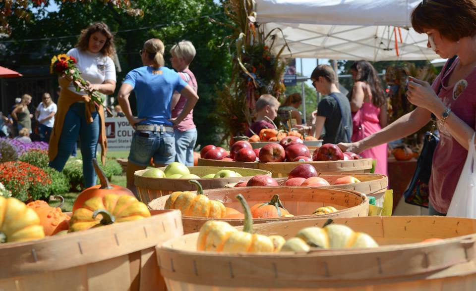 Cider Days