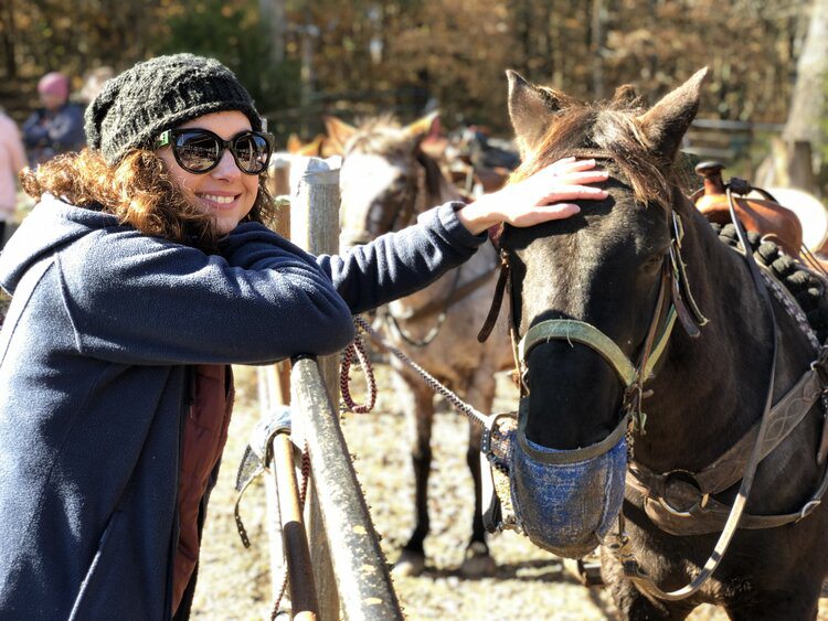 Horseback riding in Springfield, MO