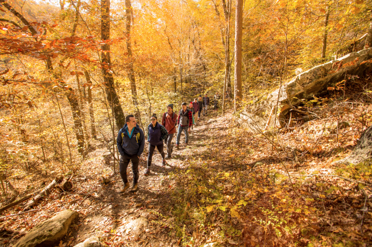 Hikers on trail