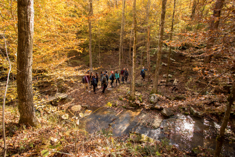 hiking trail