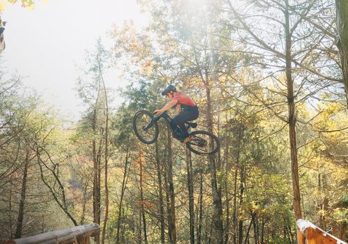 Mountain biking in the Ozarks.