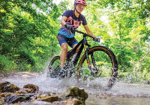 Biking trail in Arkansas.