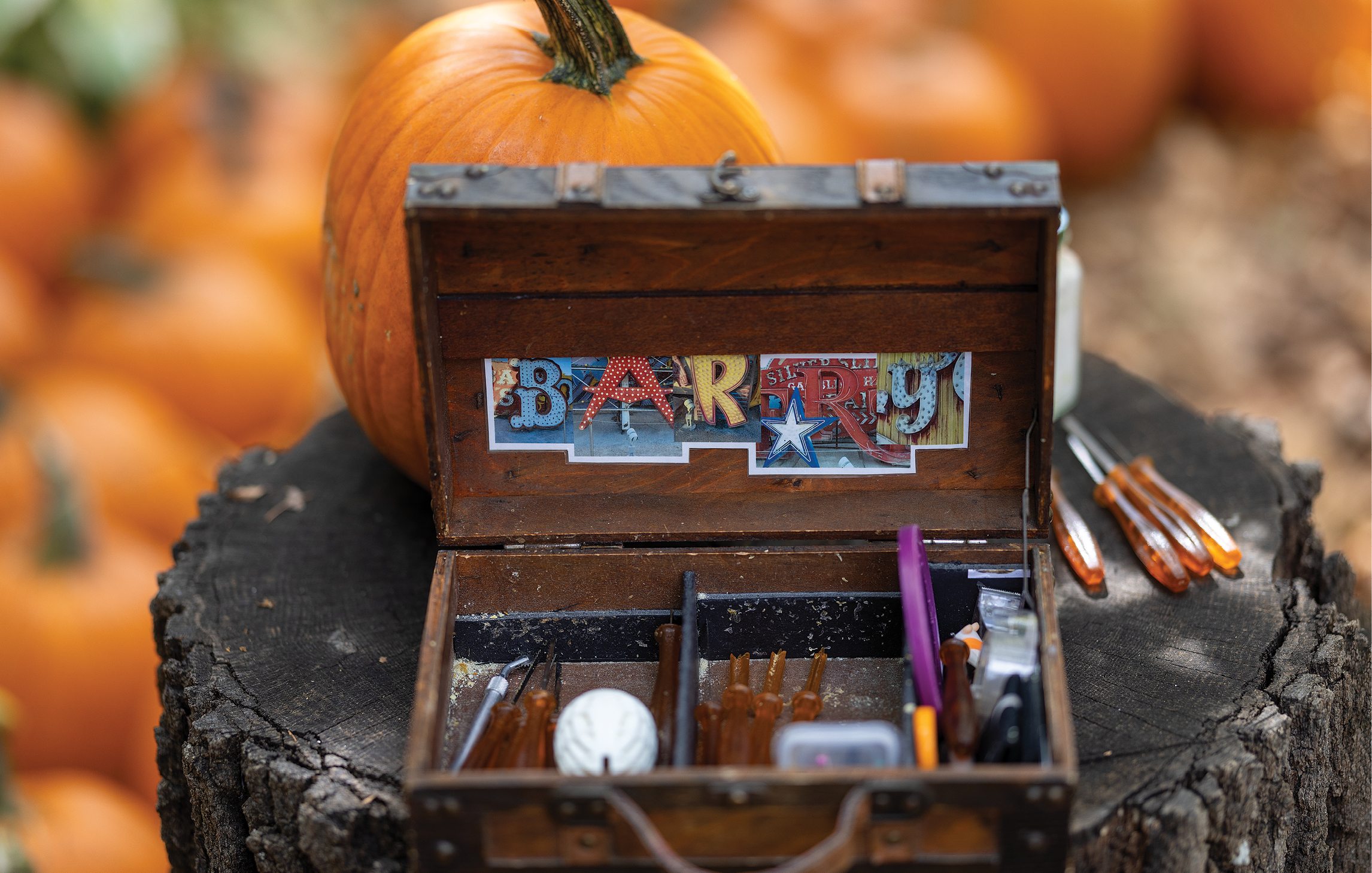 Pumpkin caring tools