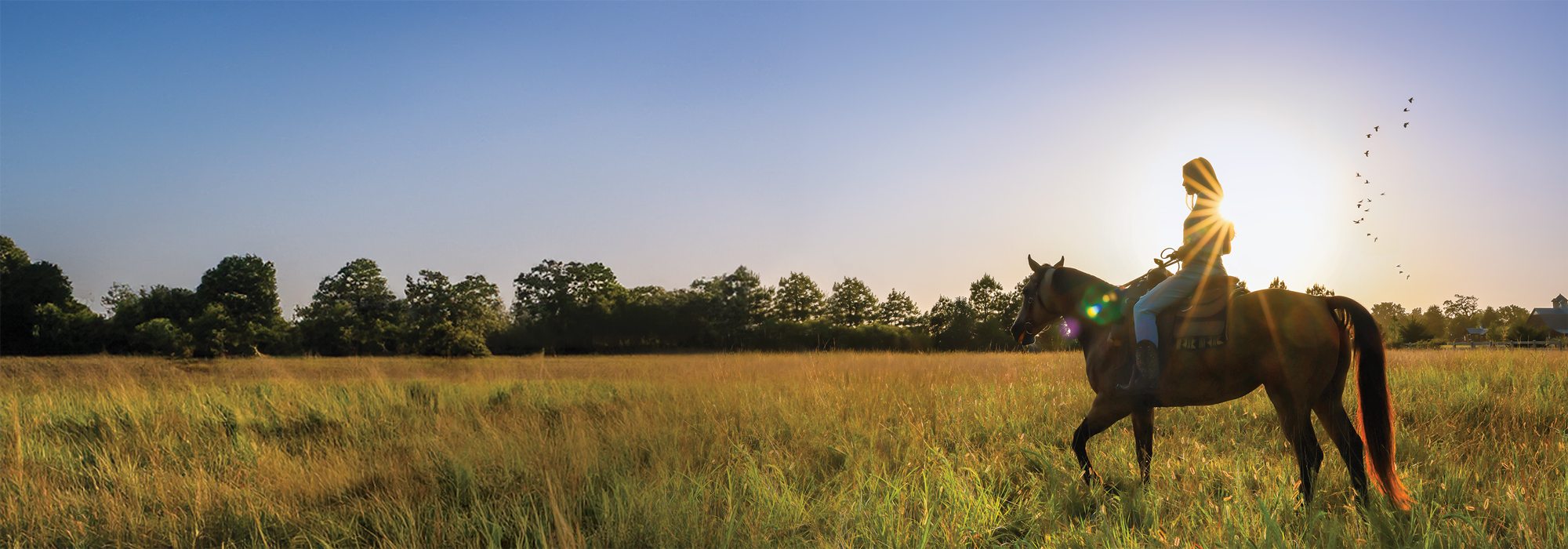 Person on a horse