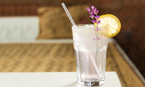 Iced Sparkling Lavender Lemonade from Eurasia Coffee Co. in Springfield MO