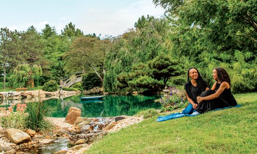 People on the grass at the Mizumoto Japanese Stroll Garden in Springfield MO