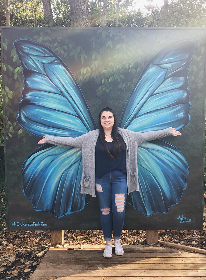 Butterfly Wings Street Art in Springfield, MO