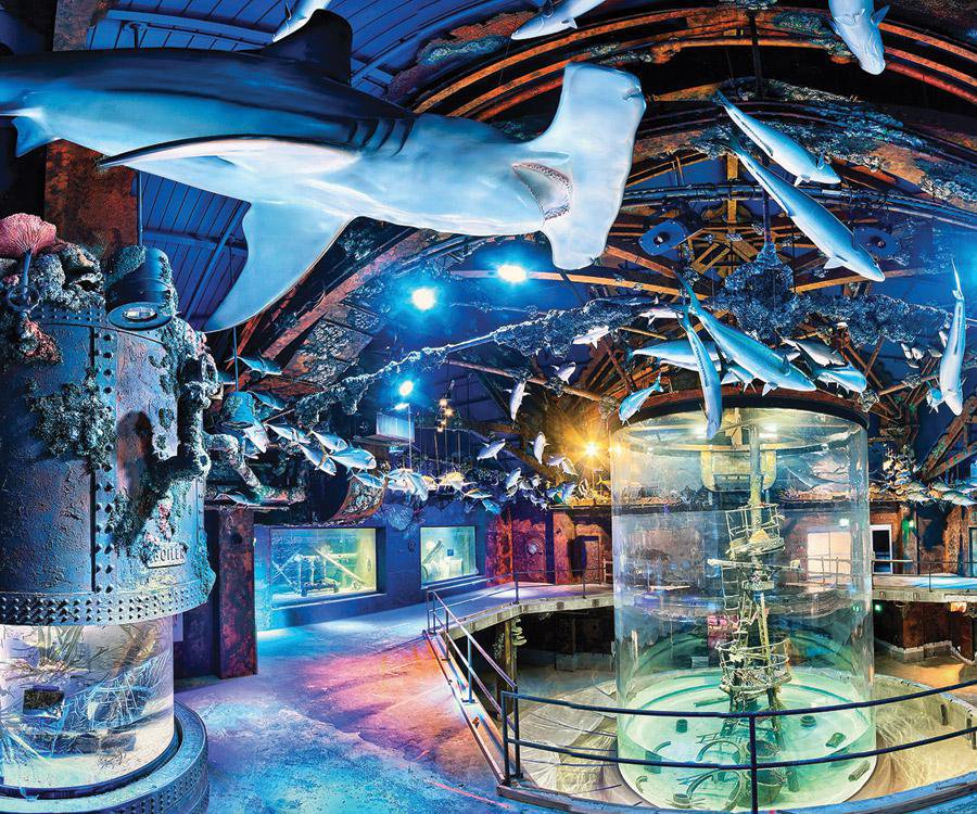 America's Wildlife Museum and Aquarium - Americas WilDlife Museum AnD Aquarium.original