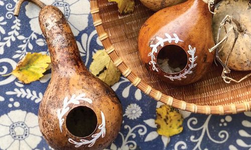 Gourd bird feeder