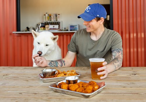 Dog at the Bark Yard in Springfield MO