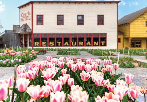 Visit Baker Creek for the Annual Flower Festival
