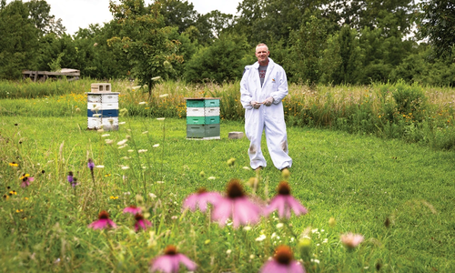 Bryan Hood, beekeeper