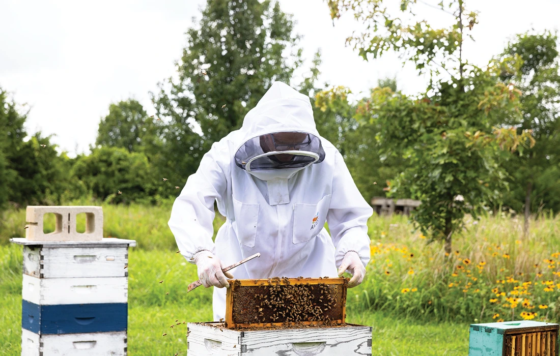 Bryan Hood, beekeeping