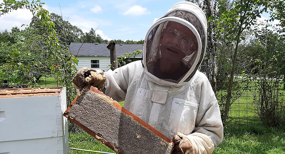 Beekeeping in Southwest MO