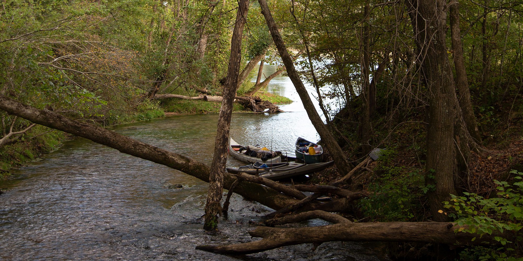 Boze Mill Spring on the Eleven Point River in Missouri