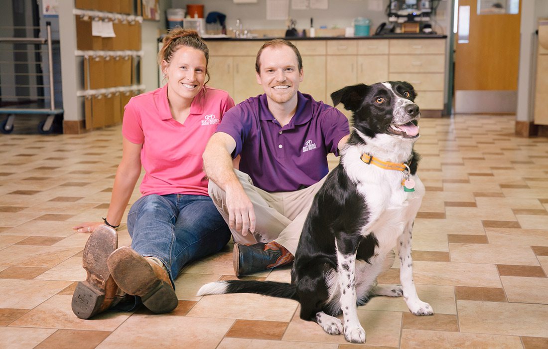 Best Friends Animal Hospital Ozark Missouri
