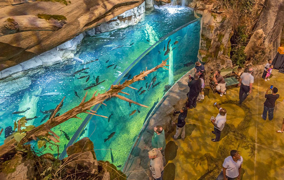 The fish tank at Big Cypress Lodge.