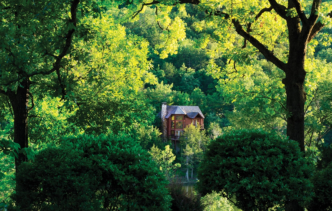 Cabin surrounded by forest near Table Rock Lake, southwest Missouri