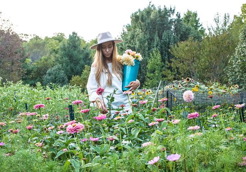 Blossom Thyme Hill Flower Farm photo