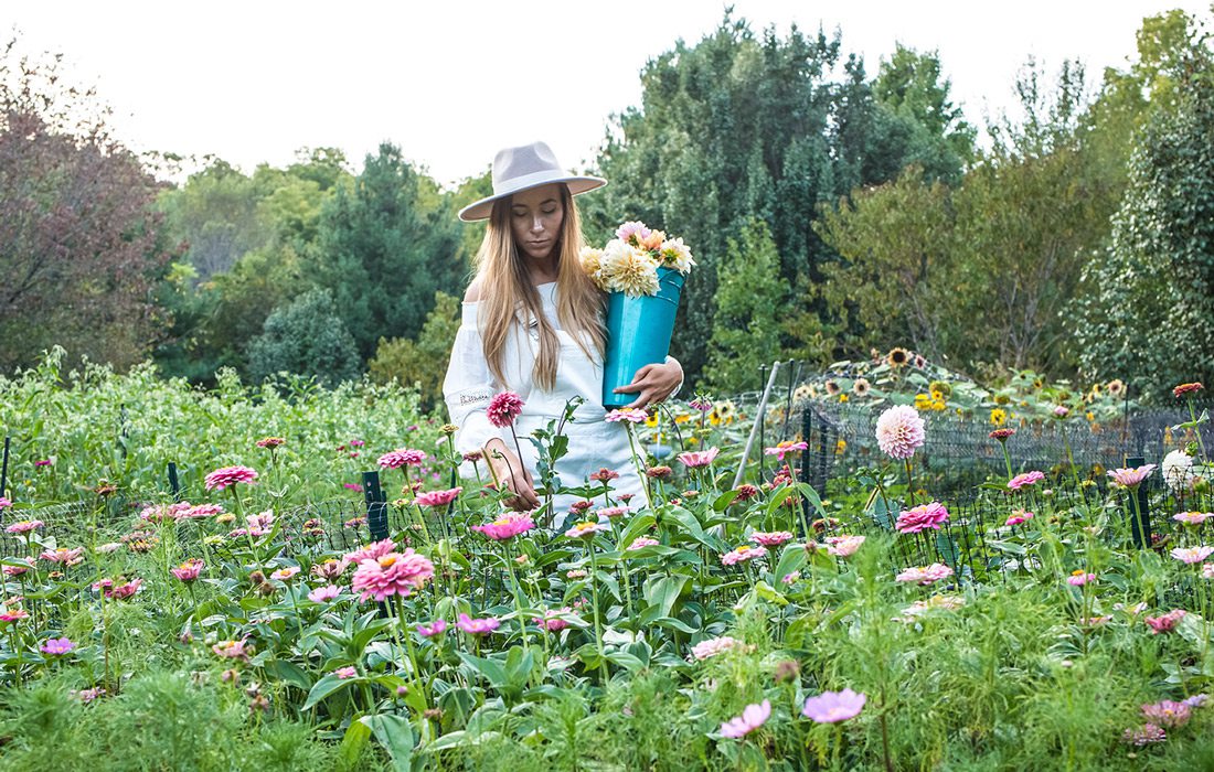 Life at Blossom Thyme Hill Flower Farm