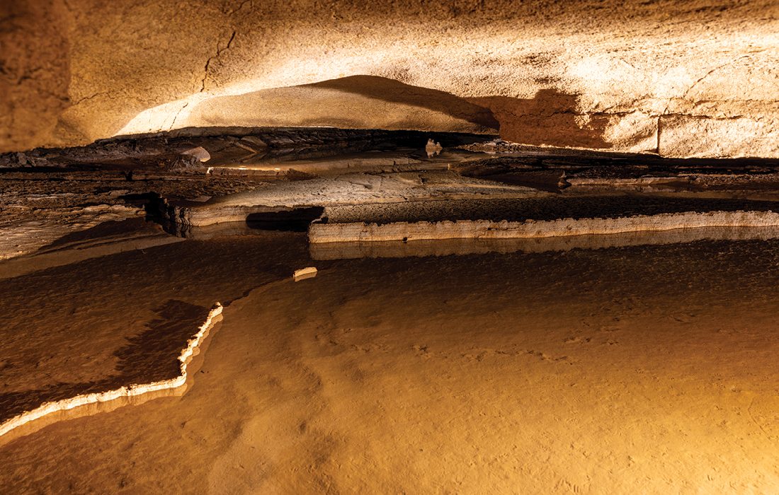 Buff Dweller's Cave in southwest Missouri