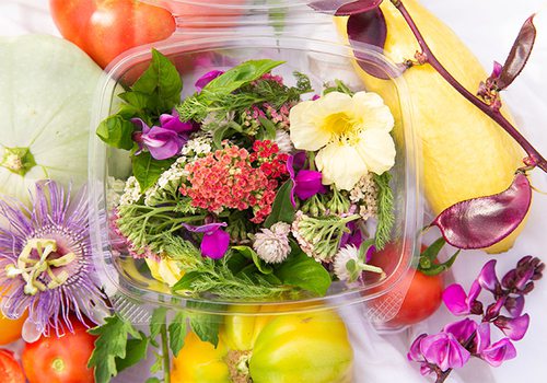 D.I.Y. Botanical Bites