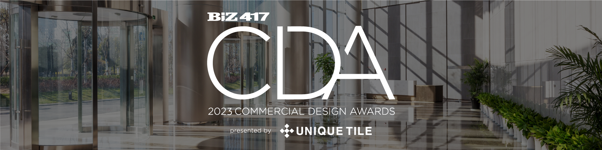 Biz 417 Commercial Design Awards