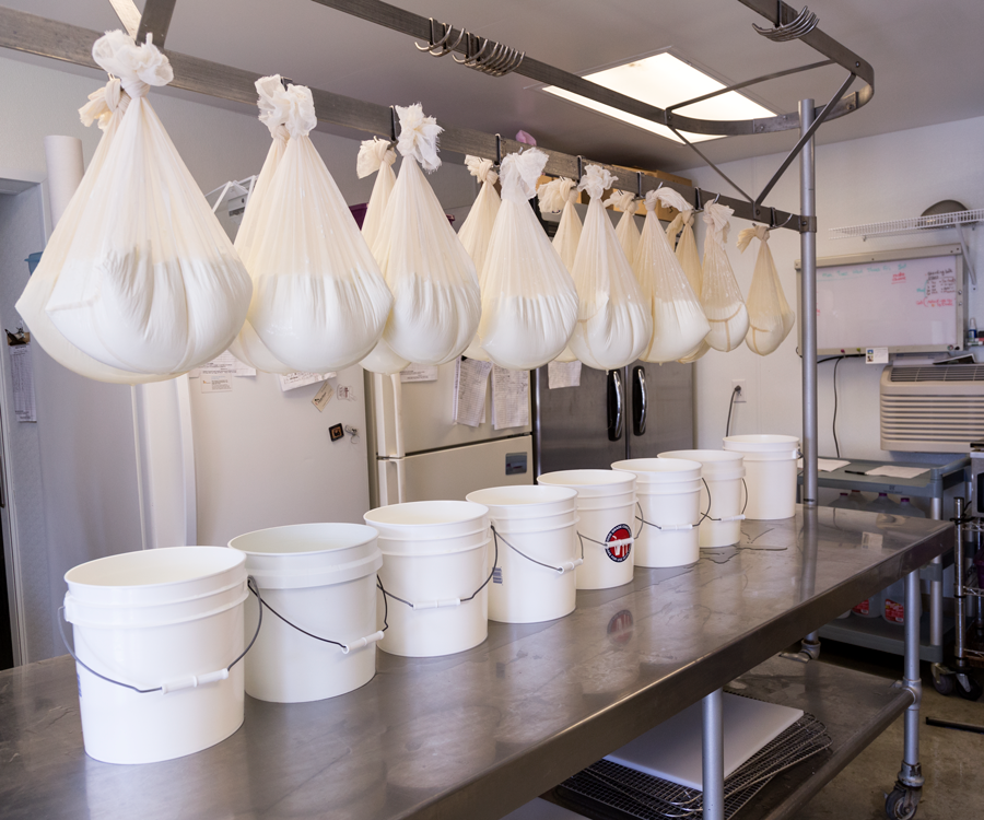 Making Terrell Creek  Farm's chevre involves hanging bags of cheese over buckets to drain.