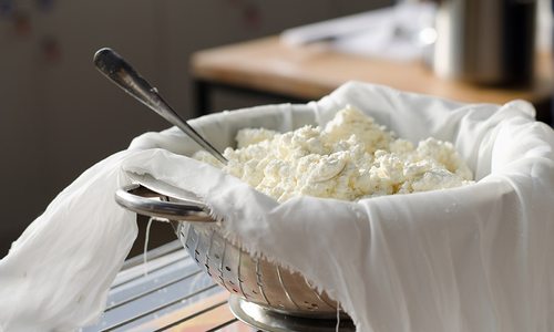 Learn How to Make Your Own Cheese
