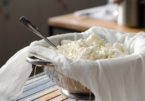 Learn How to Make Your Own Cheese