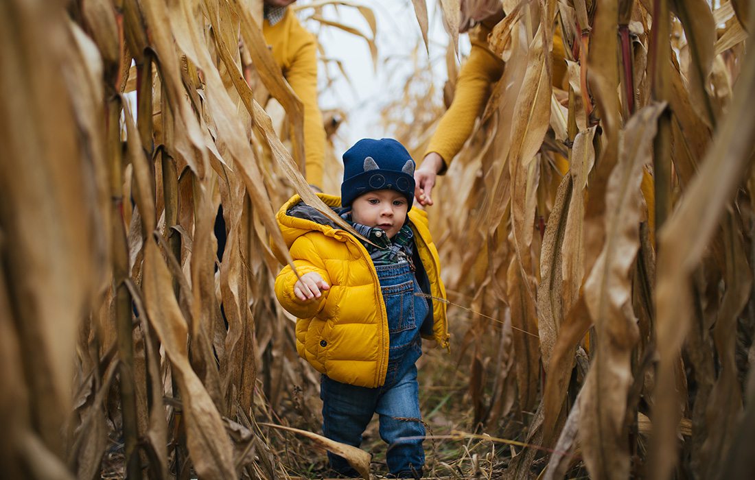 Little boy running through corn maze