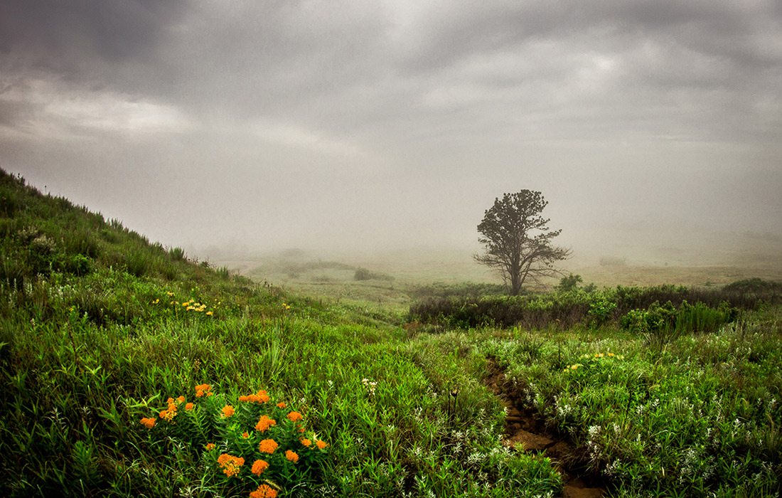 Taton Tubbs photo of Coronado Heights