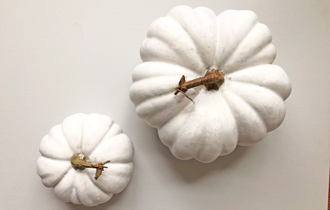 Plain plastic pumpkins for Chinoiserie Pumpkins