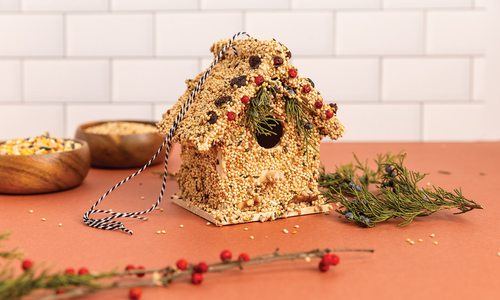 Make Your Own Birdhouse