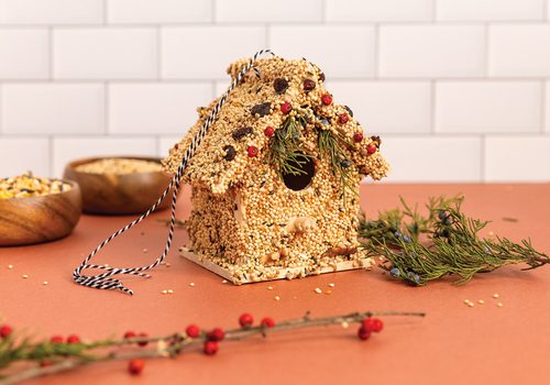 Make Your Own Birdhouse
