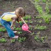 young girl watering a garden
