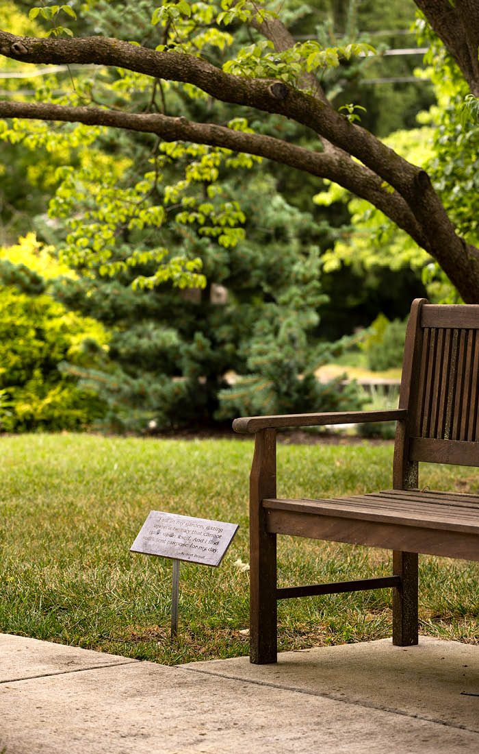 Bench in Dominion Gardens & Arboretum