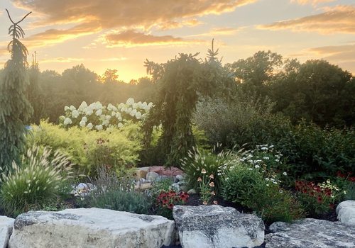 Garden designed by Grass Roots