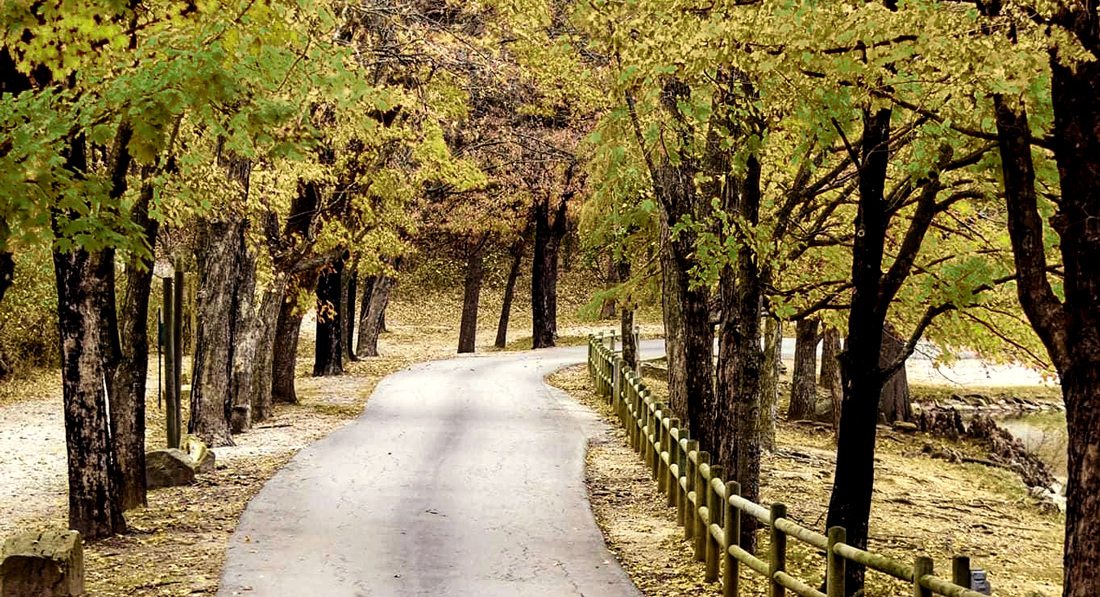 Exploring Dunnegan Memorial Park in Bolivar, MO