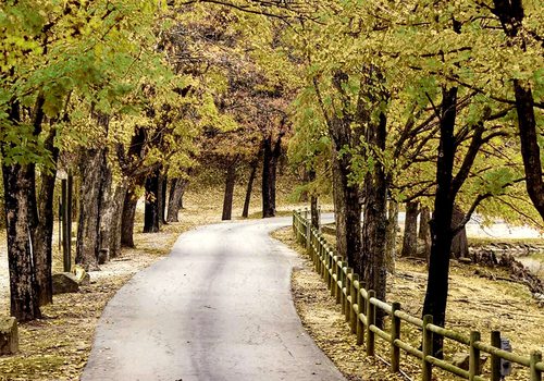 Dunnegan Memorial Park in Bolivar, MO