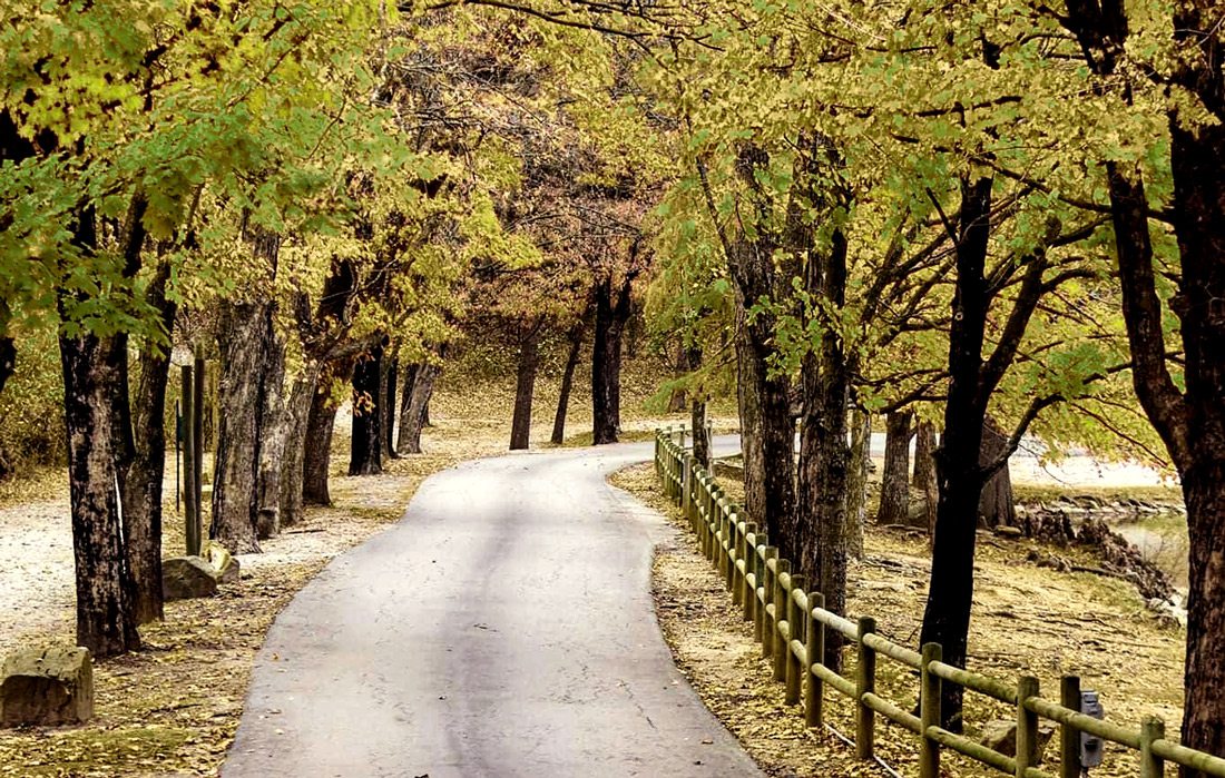 Dunnegan Memorial Park in Bolivar, MO