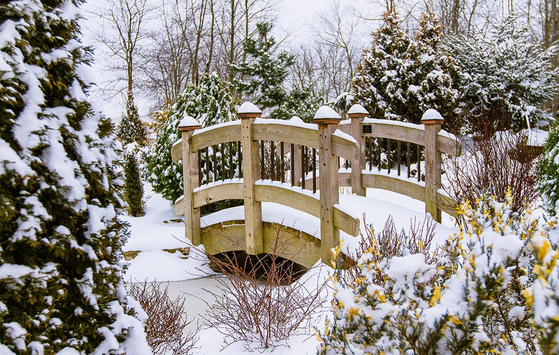 A Winter Wonderland in Springfield, Missouri