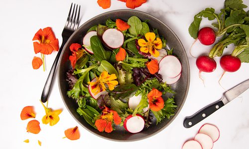 Edible flowers on a salad