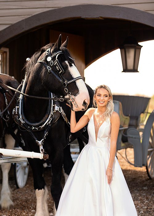 Tia ballgown from Norman's Bridal in Springfield MO