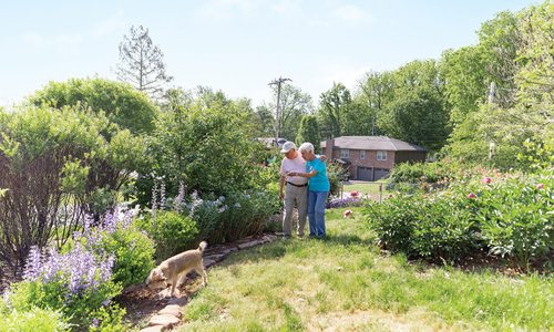 Bob and Barb Kipfers Backyard Native Garden