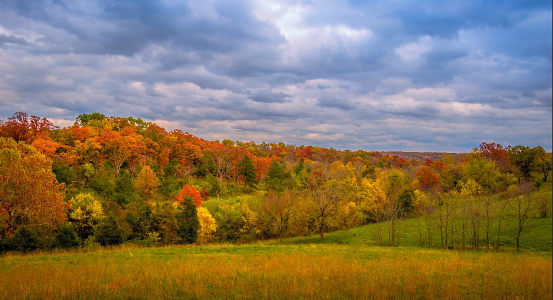 Take an Autumn Stroll in Lost Hill Park | 417 Magazine