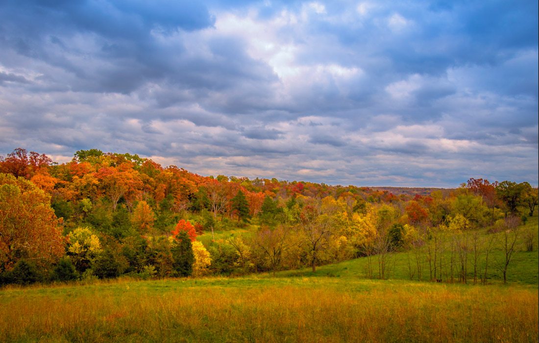 Lost Hill Park