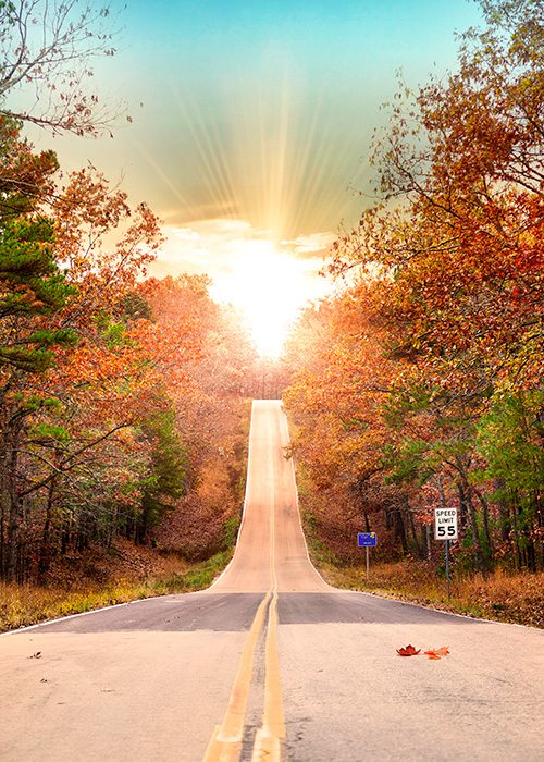 Mark Twain National Forest along the Blue Buck Knob National Forest Scenic Byway